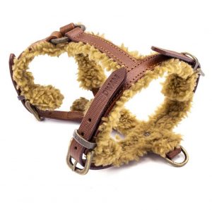 DWAM koiran valjaat Teddy Dog Harness