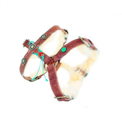DWAM koiran valjaat Paddy Lee Dog Harness