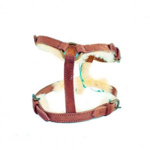 DWAM koiran valjaat Paddy Lee Dog Harness
