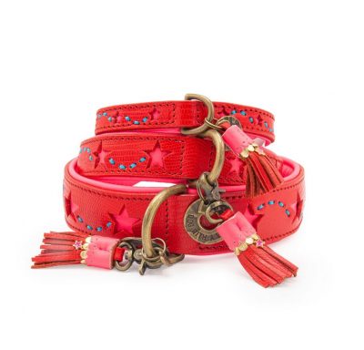 DWAM Koiran kaulapanta Pink Star