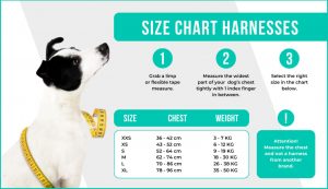 DWAM koiran valjaat Teddy Dog Harness, koko XL - Image 4