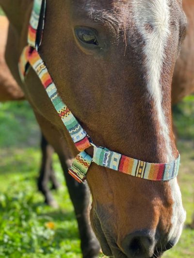 Riimu Mutt Dog & Co Horse Halter