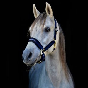 Riimu Back on Track Werano
