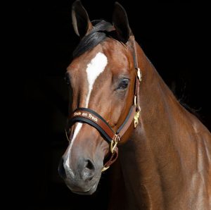 Riimu Back on Track Werano