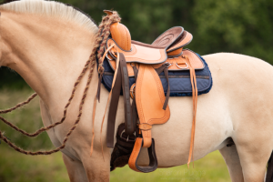 EDIX Western 8-pocket Merino pad