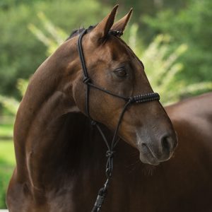 Naruriimu Lami-Cell Rope halter